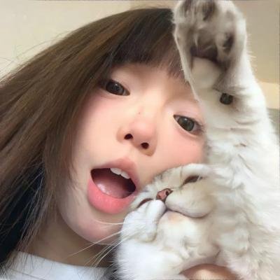 杀手·蝴蝶·梦