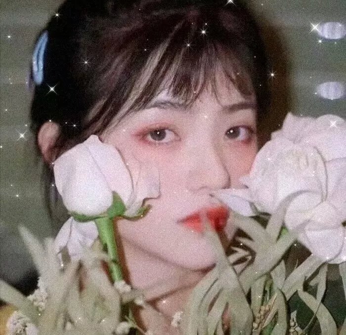 捕狼行动